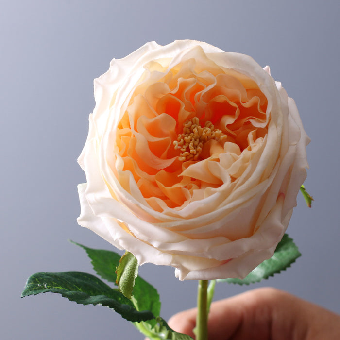 Bulk 9 Pcs 17" Real Touch Austin Rose Bouquet Artificial Flowers