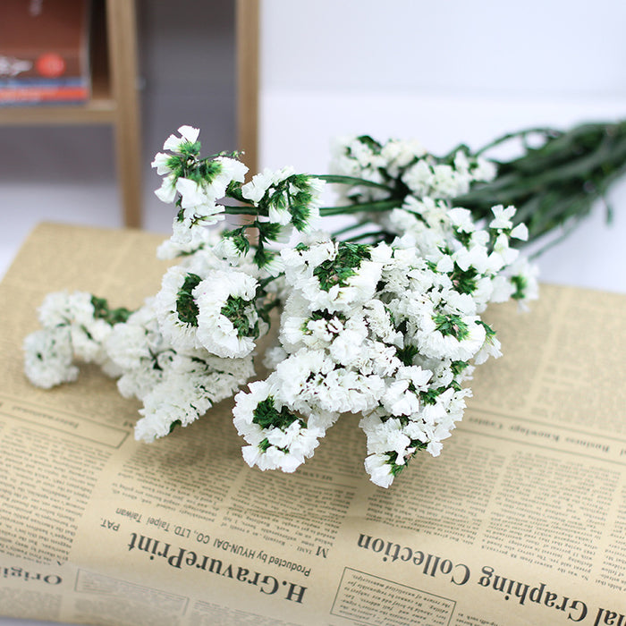 Bulk Forget Me Not Dried Flowers for Crafts DIY Wholesale