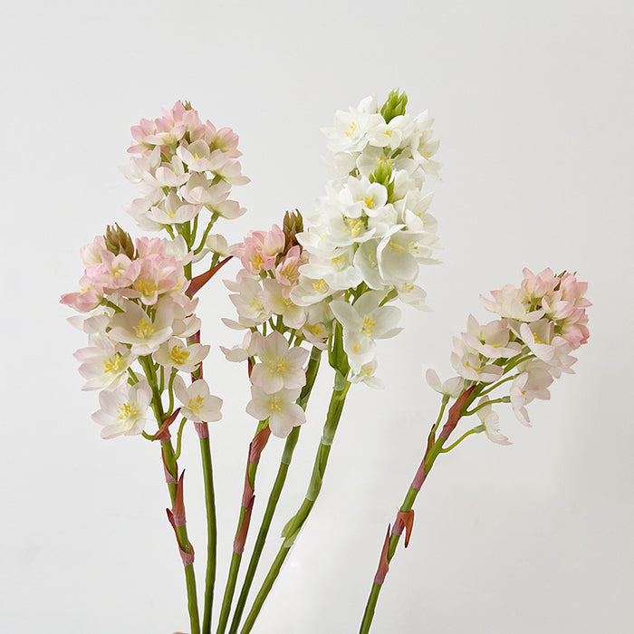Bulk AM Basics Artificial Flowers Dendrobium Galaxy Orchid Spray Stem 21 Inch Wholesale