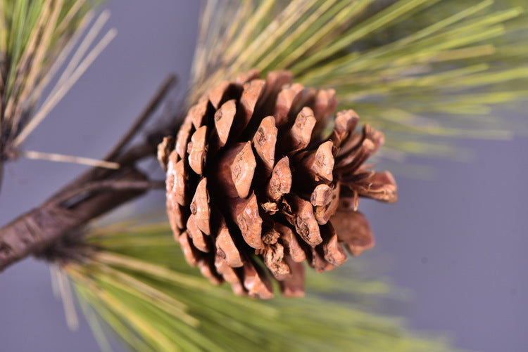 Bulk 3Pcs 22" Pinus Massoniana Lamb Stems Real Touch Pine Winter Christmas Plants Wholesale