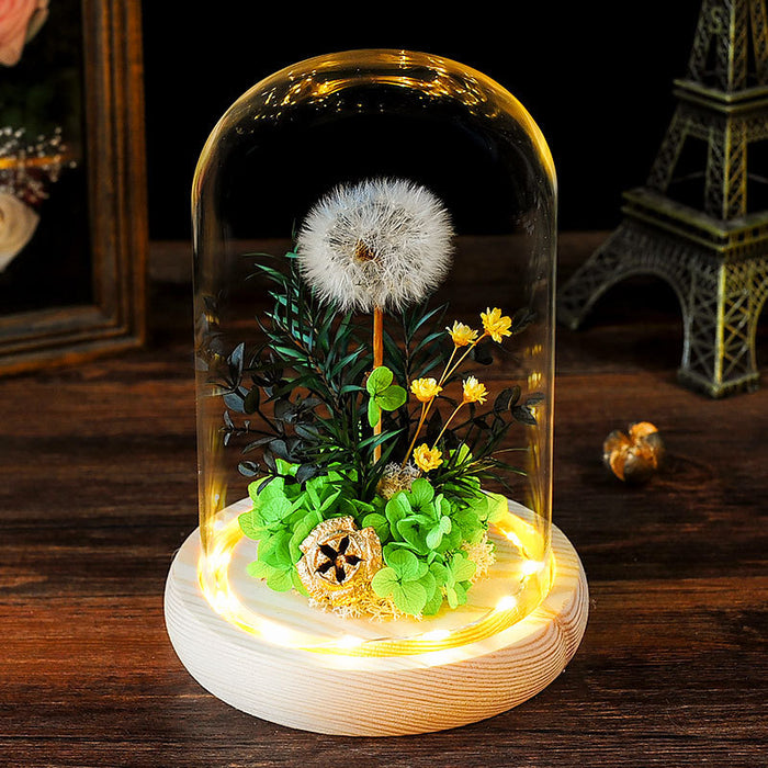 Bulk Dandelion Glass Cover Wooden Night Light Dried Flower Preserved Ornaments Holiday Gifts Wholesale