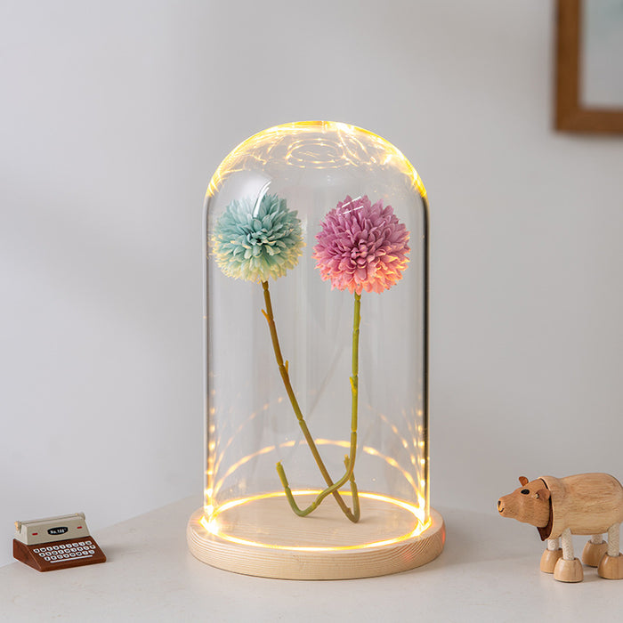 Bulk Light Up Clear Glass Display Dome DIY Gift Wholesale