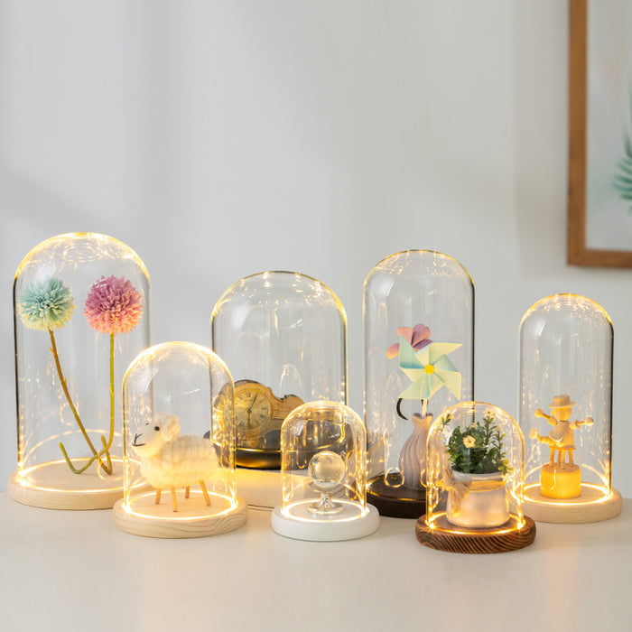 Bulk Light Up Clear Glass Display Dome DIY Gift Wholesale