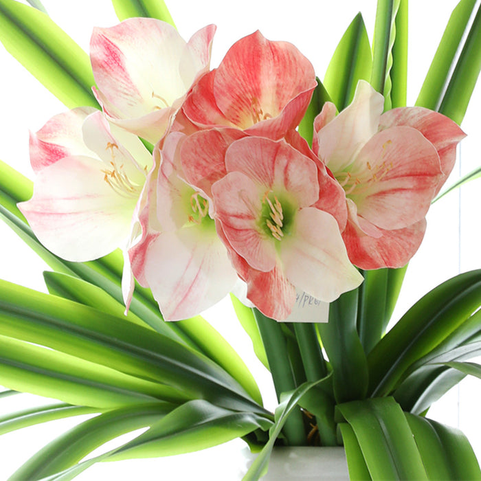 Bulk 24" Clivia Miniata Lily Stems Real Touch Artificial Flowers Wholesale