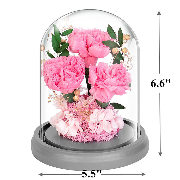 Limited Luxury Forever Preserved Flower Carnation Gifts for Mom