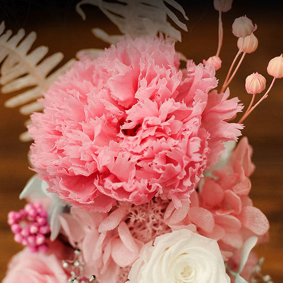 Bulk Forever Preserved Flower Carnation Gift for Women Wholesale