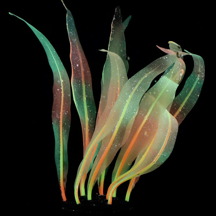 Bulk 9" Glowing Aquarium Kelp Plants Glow Plants for Fish Tank Wholesale