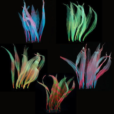 Bulk 9" Glowing Aquarium Kelp Plants Glow Plants for Fish Tank Wholesale