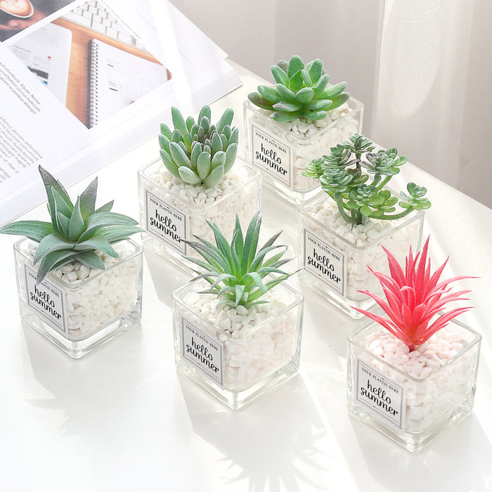 Bulk Mini Artificial Potted Succulent Plants in Transparent Glass Pot with Pebble Wholesale