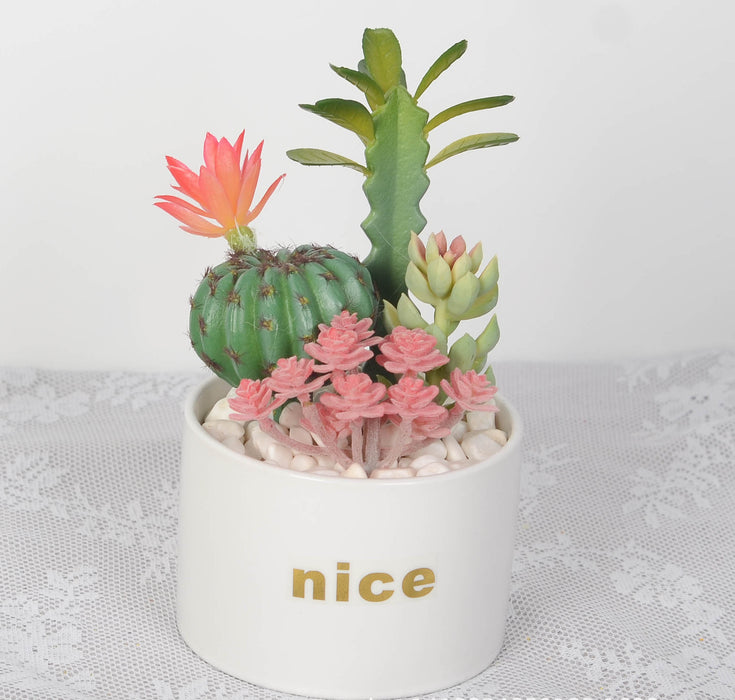 Bulk Artificial Potted Succulents in Pots Plant Gifts for Plant Lovers Wholesale
