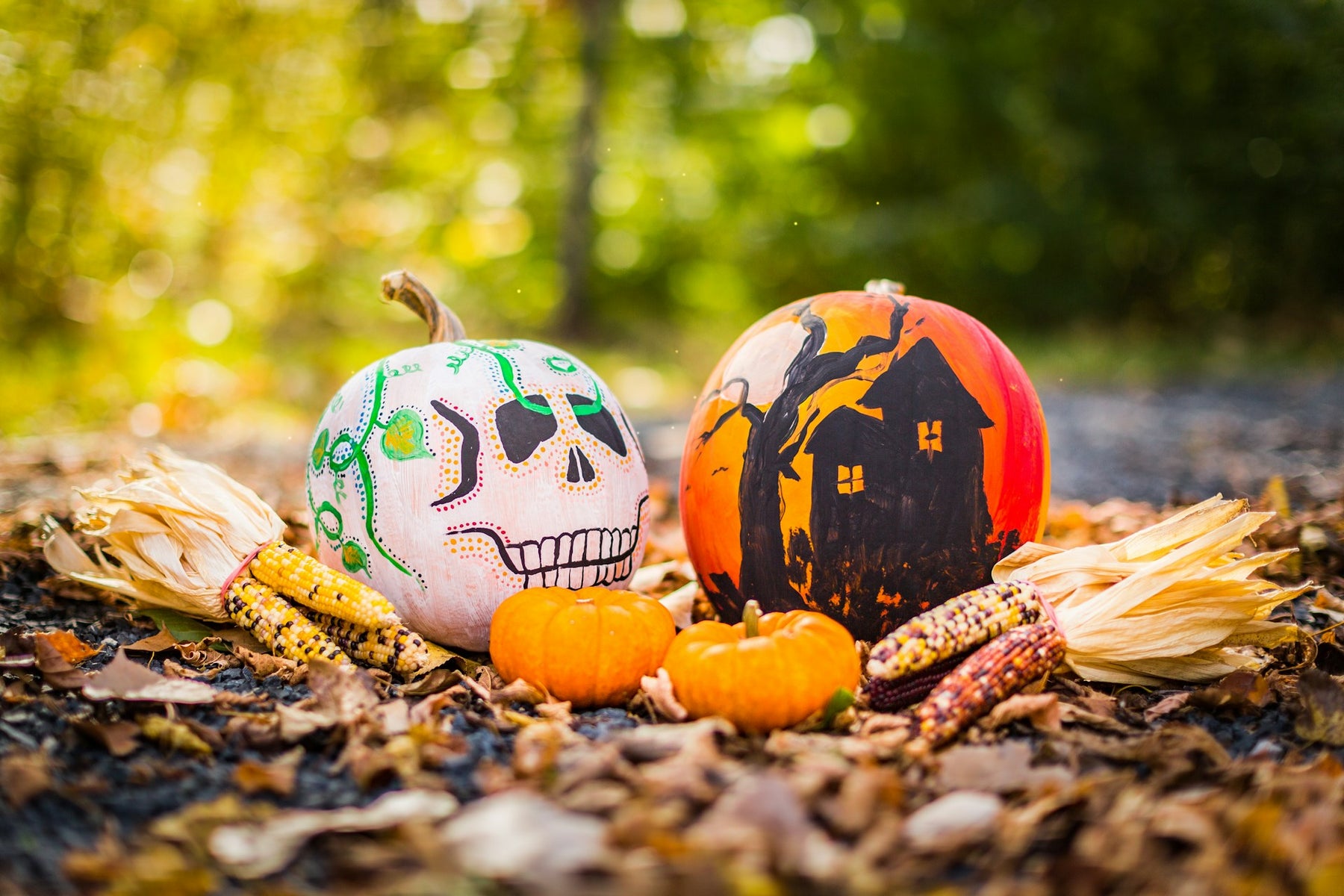 Spooktacular Halloween Decor Guide for 2024