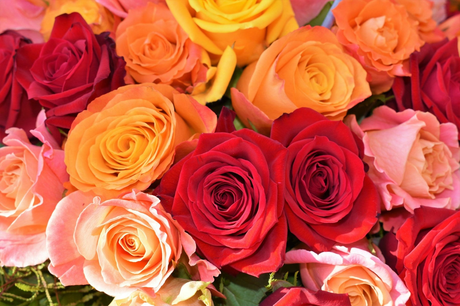 Silk vs. Foam Roses: Which is Right for Your Wedding Bouquet?