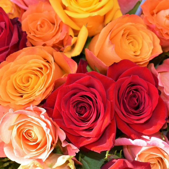 Silk vs. Foam Roses: Which is Right for Your Wedding Bouquet?