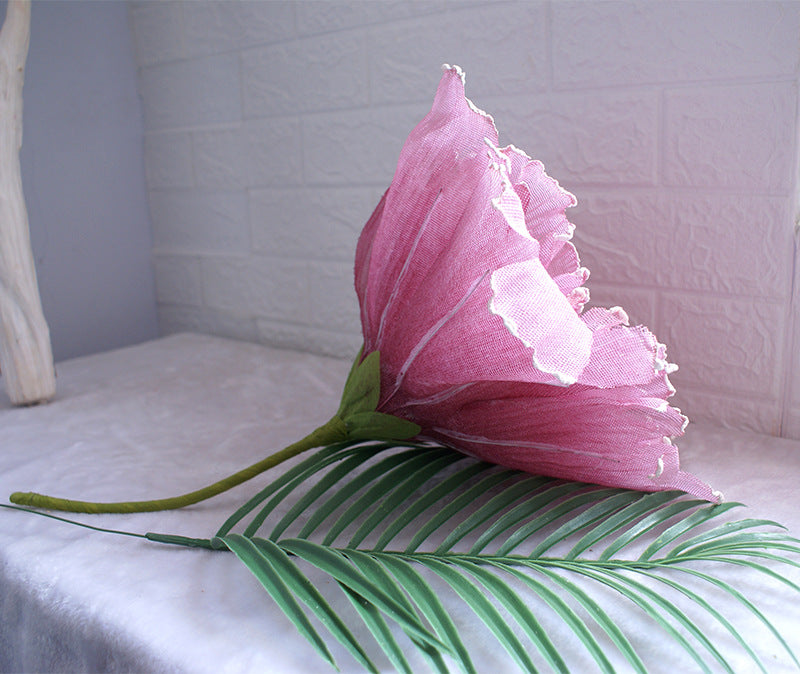 Venta al por mayor de foto de cabeza de flor de peonía de tamaño extra a granel