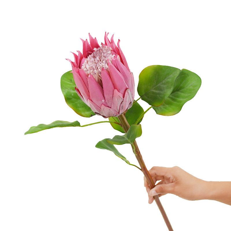 Single Stem Artificial Protea Flower, 26" Faux Silk King Protea for Weddings & Home Decor, Realistic White Bloom