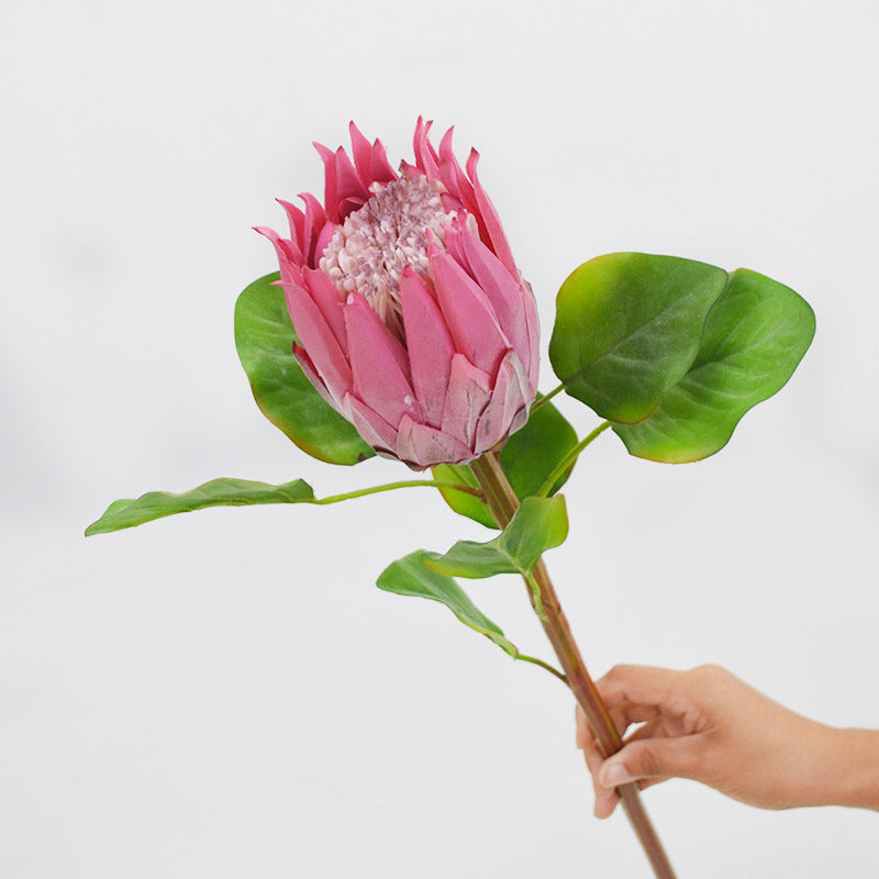 Single Stem Artificial Protea Flower, 26" Faux Silk King Protea for Weddings & Home Decor, Realistic White Bloom