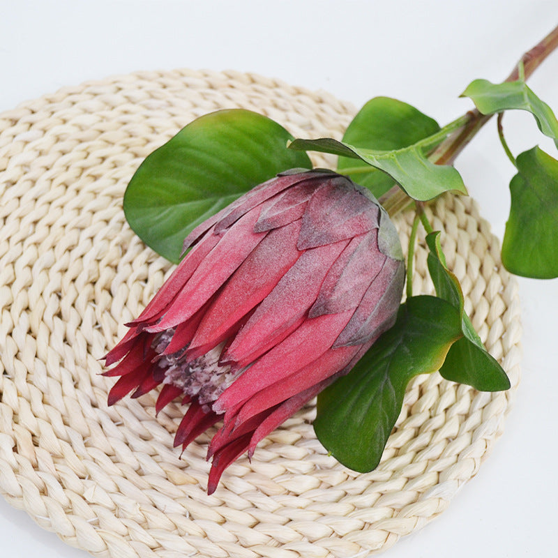 Single Stem Artificial Protea Flower, 26" Faux Silk King Protea for Weddings & Home Decor, Realistic White Bloom