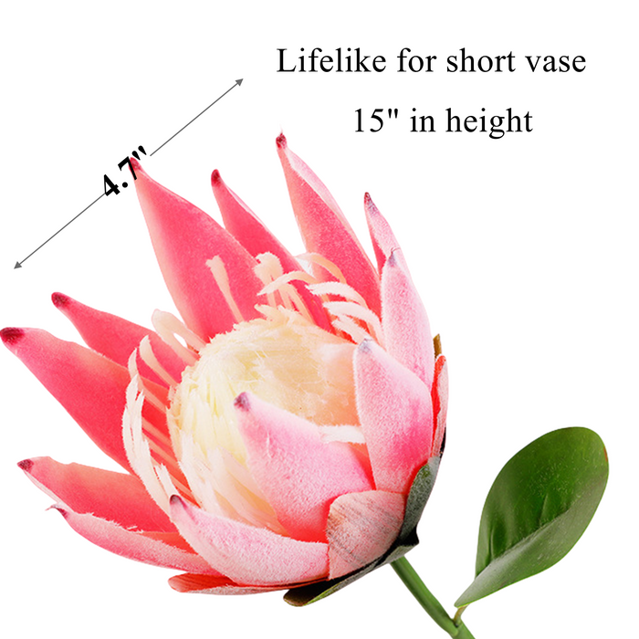 Bulk 12pcs 15" Protea Stems for 9" Vase Wedding Table Flower Arrangements Wholesale