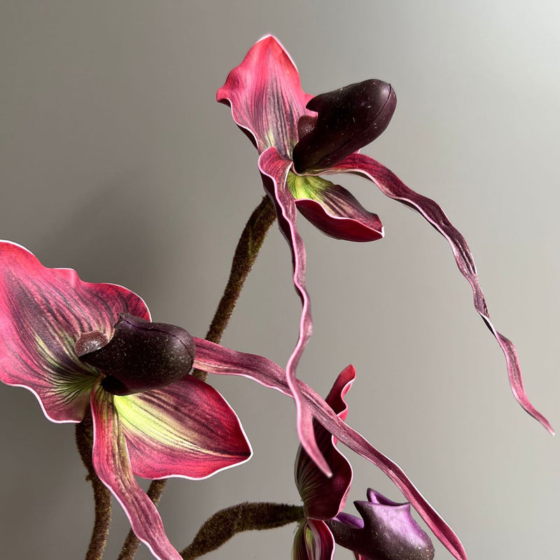 19" Tall Real Touch Lady Slipper Orchid Stem for Modern Home Decor, Vase Arrangements, DIY Wedding Bouquets