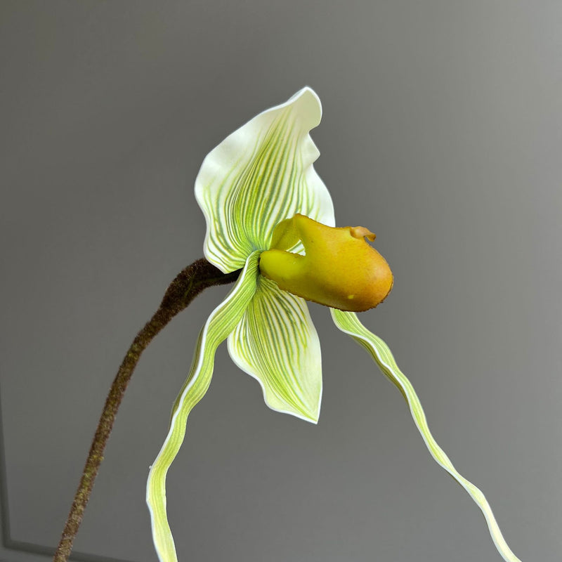 19" Tall Real Touch Lady Slipper Orchid Stem for Modern Home Decor, Vase Arrangements, DIY Wedding Bouquets