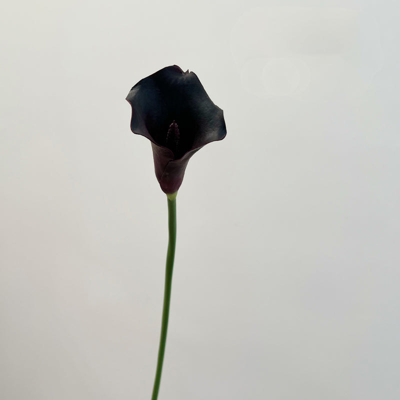 Bulk 6 Pcs 26 Inch Real Touch Black Purple Calla Lily Artificial Flowers for Gothic Home Decor, Fall Halloween Arrangement