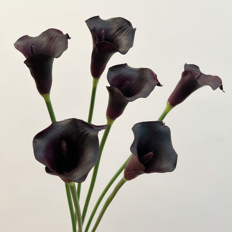 Bulk 6 Pcs 26 Inch Real Touch Black Purple Calla Lily Artificial Flowers for Gothic Home Decor, Fall Halloween Arrangement