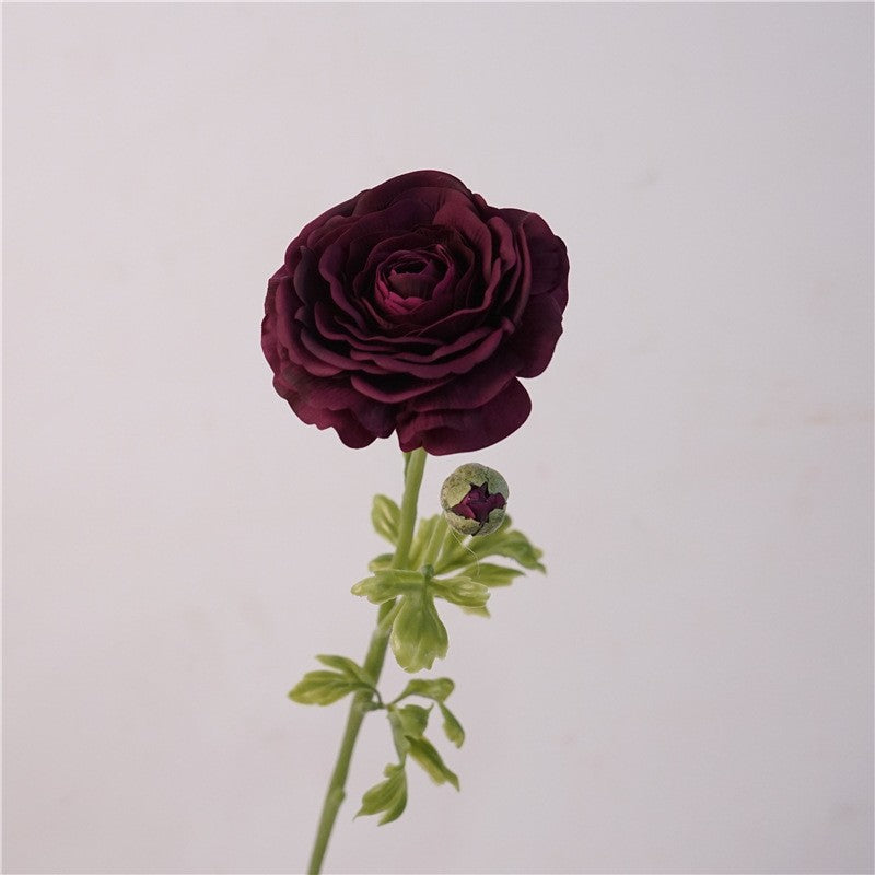 8 Pcs Real Touch Ranunculus Stems, 21 Inch Tall, Moody Burgundy Faux Flowers, Lifelike Artificial Floral for Autumn Home Decor, Vase, Wedding
