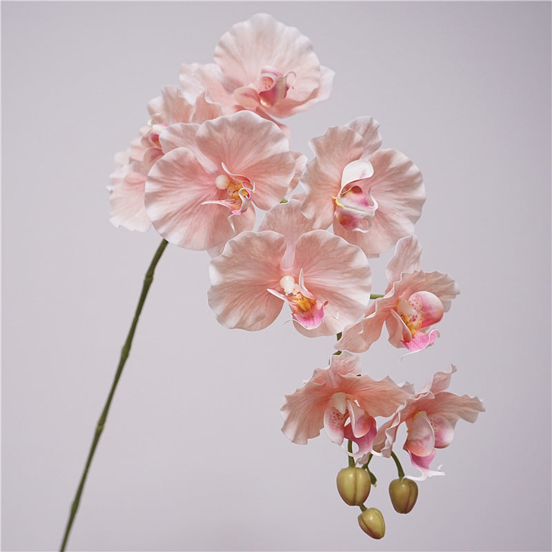 39" Tall Phalaenopsis Orchid Stem, 9-Head Real Touch Faux Flowers, Large Realistic Orchid for Vase, Modern Home Decor, Wedding Centerpiece, DIY