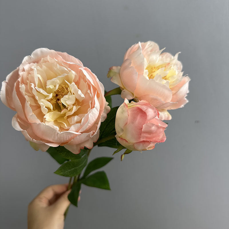 Set of 2 Lush Peony Stems, 20" Tall Artificial Flowers, Lifelike Double-Bloom Faux Peonies for Vase, Modern Farmhouse Home Decor, DIY Wedding Bouquets