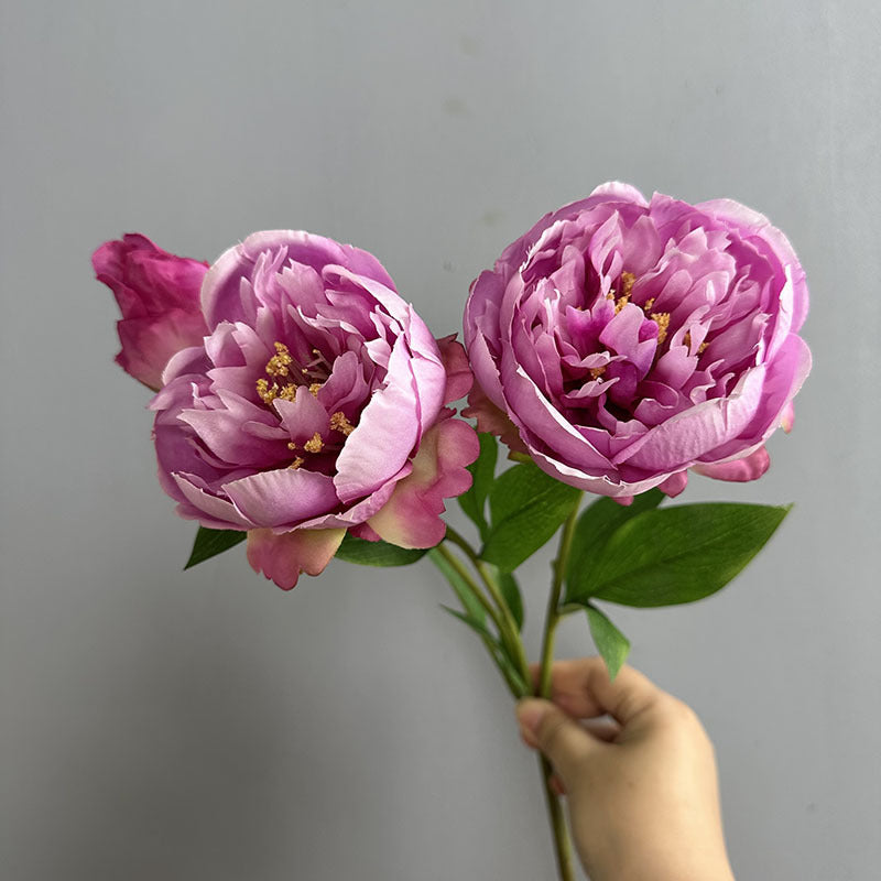 Set of 2 Lush Peony Stems, 20" Tall Artificial Flowers, Lifelike Double-Bloom Faux Peonies for Vase, Modern Farmhouse Home Decor, DIY Wedding Bouquets