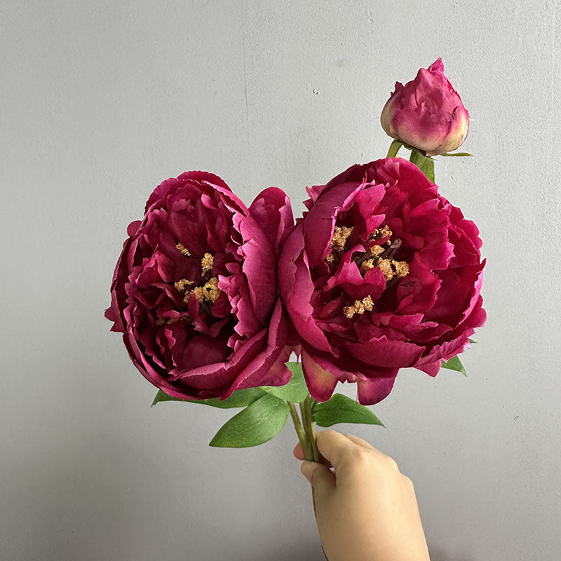 Set of 2 Lush Peony Stems, 20" Tall Artificial Flowers, Lifelike Double-Bloom Faux Peonies for Vase, Modern Farmhouse Home Decor, DIY Wedding Bouquets