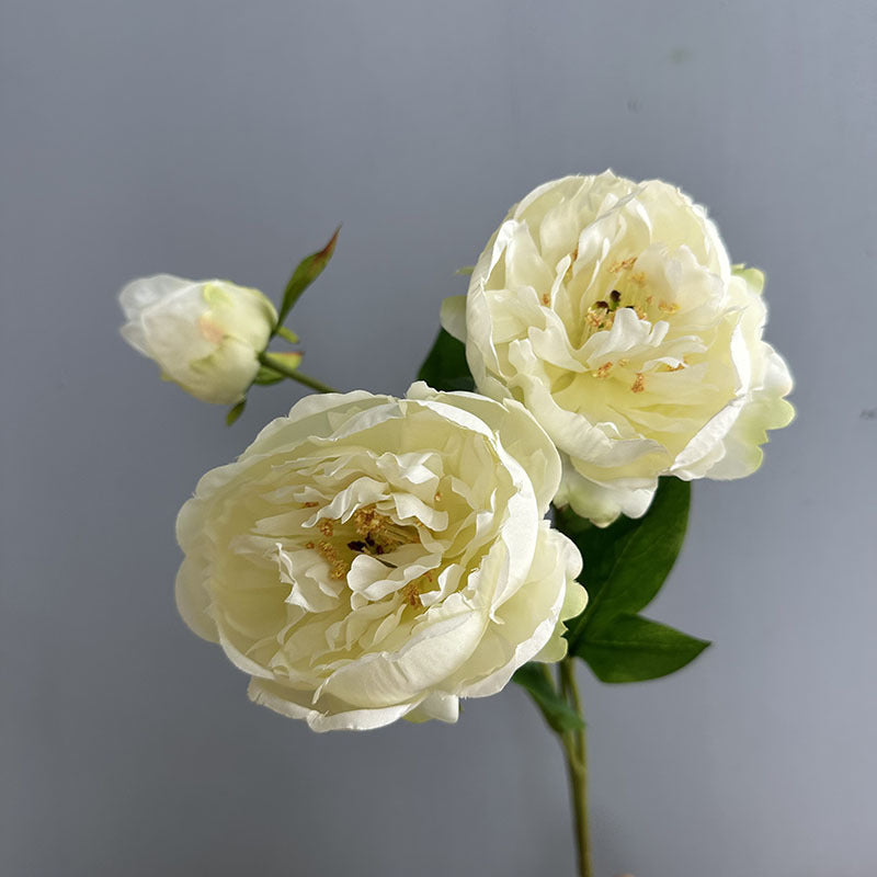Set of 2 Lush Peony Stems, 20" Tall Artificial Flowers, Lifelike Double-Bloom Faux Peonies for Vase, Modern Farmhouse Home Decor, DIY Wedding Bouquets