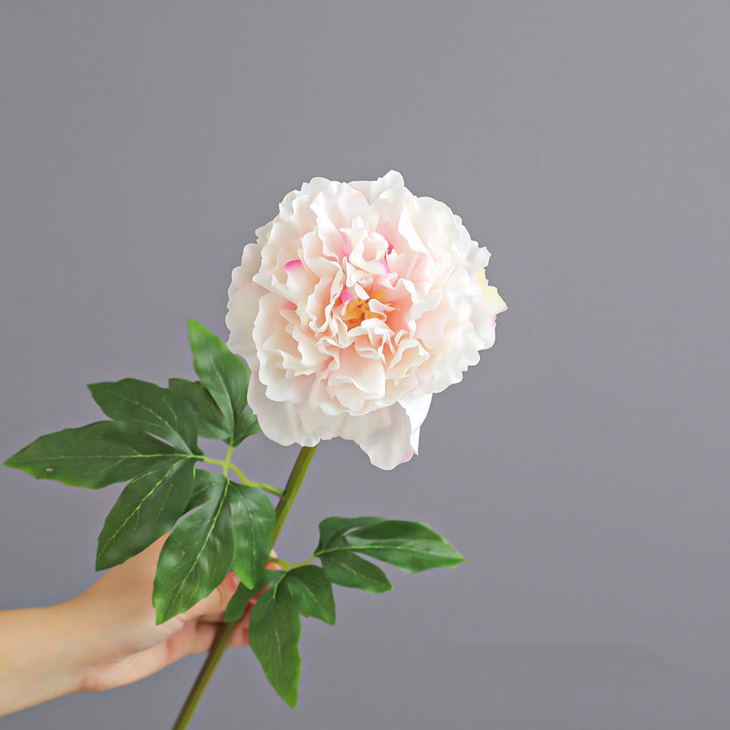 Real Touch Peony Arrangement, 20" Faux Floral Bouquet for Home Decor, Weddings, Events, and Parties, Allergy & Pet Safe