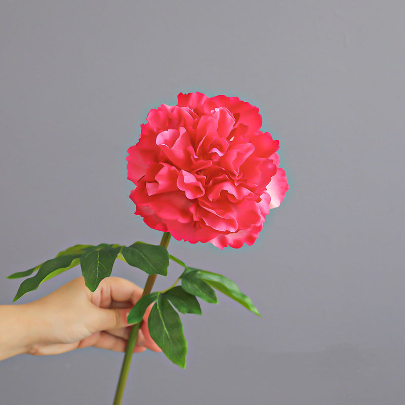 Real Touch Peony Arrangement, 20" Faux Floral Bouquet for Home Decor, Weddings, Events, and Parties, Allergy & Pet Safe