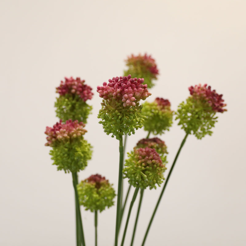 2-Pack Faux Allium Stems, 27.5" Tall Artificial Onion Flowers, Lifelike Long Stem Vase Fillers for Modern Home Decor, Wedding Arrangements & Centerpieces