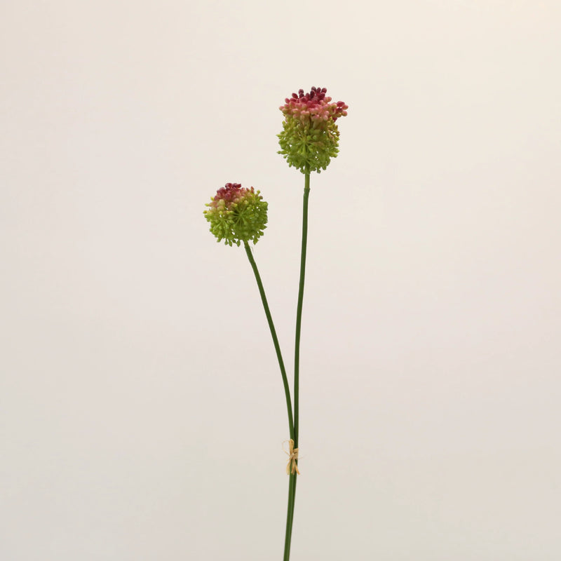 2-Pack Faux Allium Stems, 27.5" Tall Artificial Onion Flowers, Lifelike Long Stem Vase Fillers for Modern Home Decor, Wedding Arrangements & Centerpieces