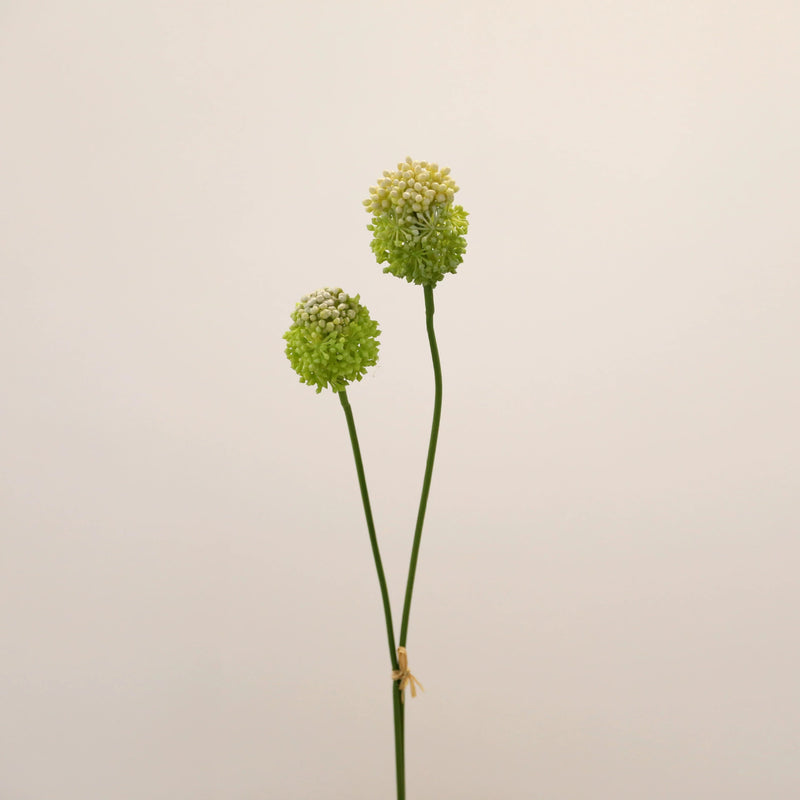 2-Pack Faux Allium Stems, 27.5" Tall Artificial Onion Flowers, Lifelike Long Stem Vase Fillers for Modern Home Decor, Wedding Arrangements & Centerpieces