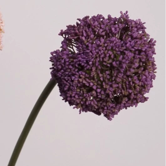 Large Faux Allium Flower Stem, 30" Tall Lifelike Allium Ball Spray, Realistic Artificial Floral for Vase, Modern Home Decor, Wedding & DIY Arrangements