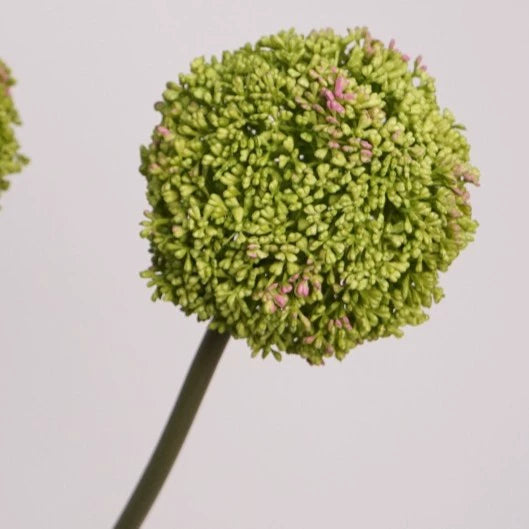 Large Faux Allium Flower Stem, 30" Tall Lifelike Allium Ball Spray, Realistic Artificial Floral for Vase, Modern Home Decor, Wedding & DIY Arrangements