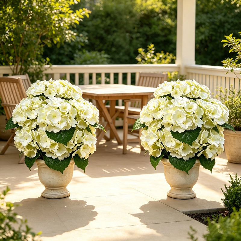 2 Pack Large Artificial Hydrangea Plants, UV Resistant Faux Silk Flowers in Nursery Pots, 22" Tall — Home, Porch & Wedding Decor