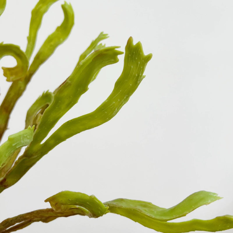 Faux Fern Wall Decor, 24" Real-Touch Greenery, Perfect for Home Decor, Weddings, and Events, No-Maintenance, Allergy & Pet Safe
