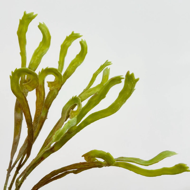 Faux Fern Wall Decor, 24" Real-Touch Greenery, Perfect for Home Decor, Weddings, and Events, No-Maintenance, Allergy & Pet Safe