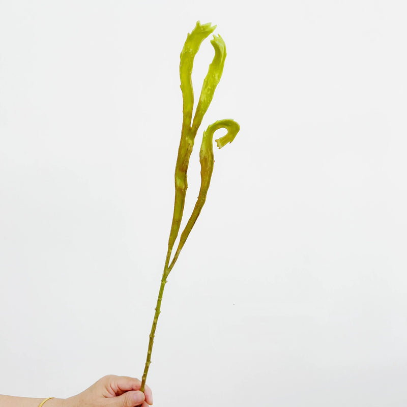 Faux Fern Wall Decor, 24" Real-Touch Greenery, Perfect for Home Decor, Weddings, and Events, No-Maintenance, Allergy & Pet Safe