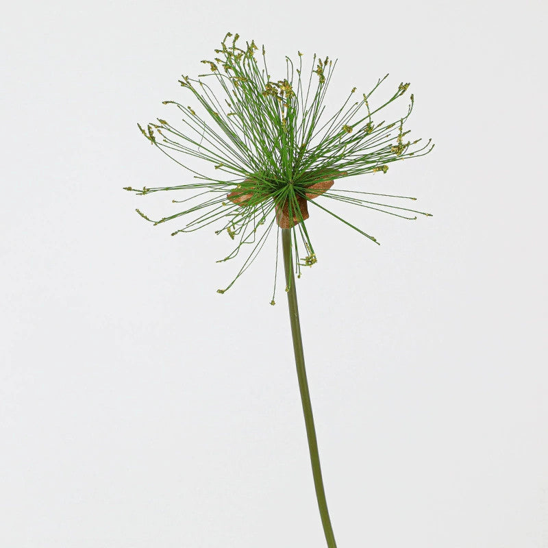 Realistic Single Stem Paper Rush Plant, 25" & 32" Tall, Lifelike Indoor Decor, Perfect for Vases, Home Decoration, Weddings, and Events