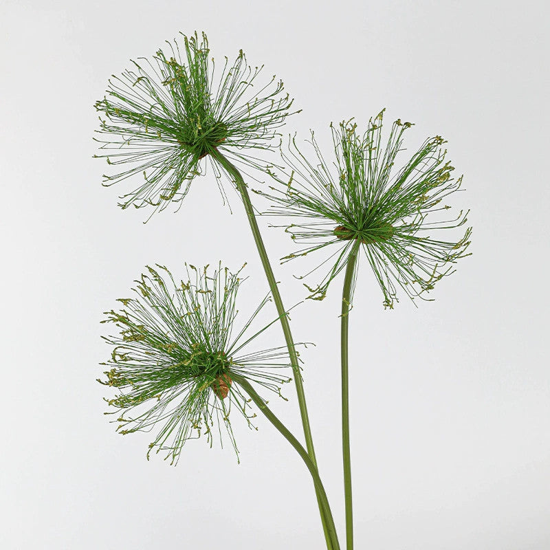 Realistic Single Stem Paper Rush Plant, 25" & 32" Tall, Lifelike Indoor Decor, Perfect for Vases, Home Decoration, Weddings, and Events