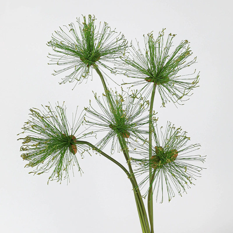 Realistic Single Stem Paper Rush Plant, 25" & 32" Tall, Lifelike Indoor Decor, Perfect for Vases, Home Decoration, Weddings, and Events
