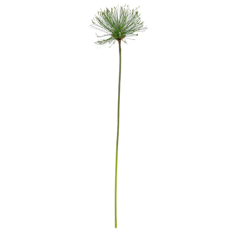 Realistic Single Stem Paper Rush Plant, 25" & 32" Tall, Lifelike Indoor Decor, Perfect for Vases, Home Decoration, Weddings, and Events