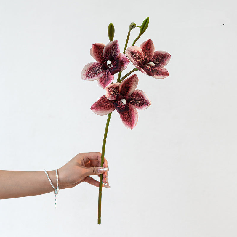Lifelike Cymbidium Orchid Stem, 22" Tall Faux Flower, Realistic Long Stem for Tall Vases, Wedding Bouquets, DIY Floral Arrangements, Home Decor