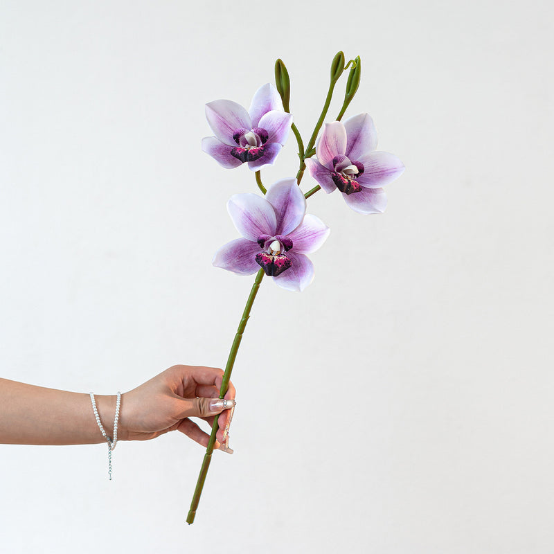 Lifelike Cymbidium Orchid Stem, 22" Tall Faux Flower, Realistic Long Stem for Tall Vases, Wedding Bouquets, DIY Floral Arrangements, Home Decor