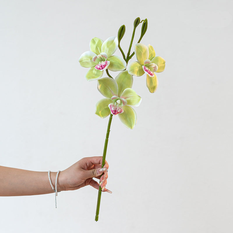 Lifelike Cymbidium Orchid Stem, 22" Tall Faux Flower, Realistic Long Stem for Tall Vases, Wedding Bouquets, DIY Floral Arrangements, Home Decor